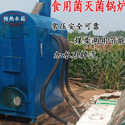食用菌灭菌蒸汽锅炉煤柴两用香菇平菇木耳常压灭菌灶新型节能包邮