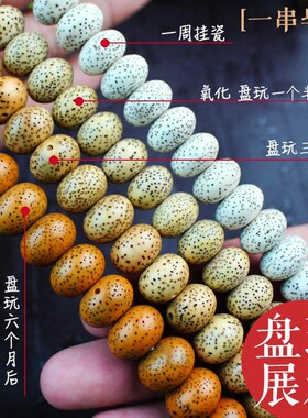 极速菩提子108颗l海南星月佛珠项链手串念珠手链毛衣男女籽正月链