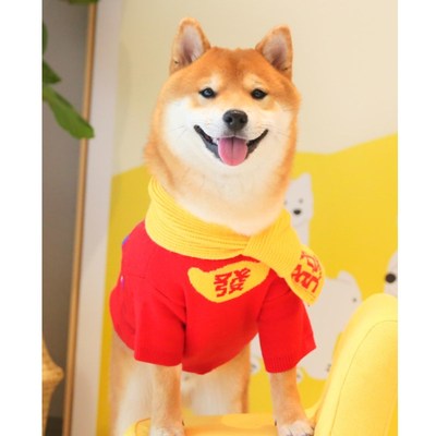 极速猫狗卫衣国潮舞狮发财搞怪猫咪衣服宠物外Q套春节新拜年红嘻
