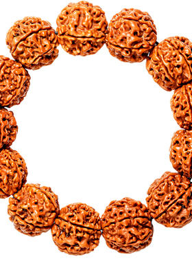 极速金刚菩提子手串男尼泊尔w大金刚6六瓣龙纹原籽文玩配饰招财转