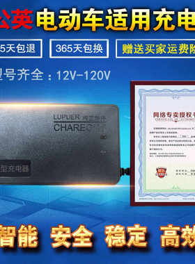 极速蒲公英电动车电瓶充电器36V48V12AH60V20AH64V72V80VV84V96V3
