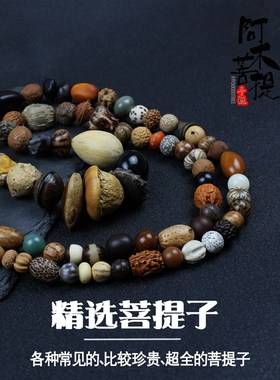 极速多宝项链f十八子手串星月菩提子108种手链佛珠念珠男女款菩提