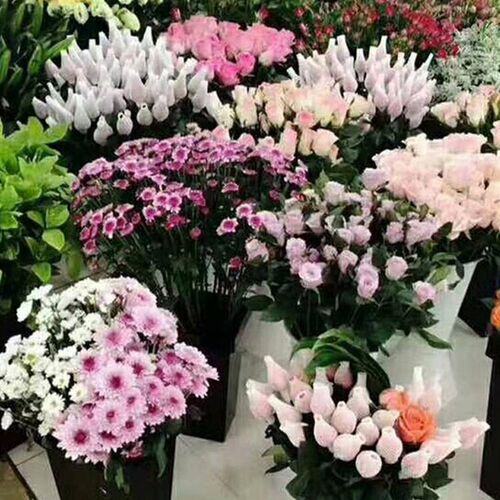 新品鲜花桶花桶花店塑料创意插A花桶质材养花桶方形大号黑色醒小