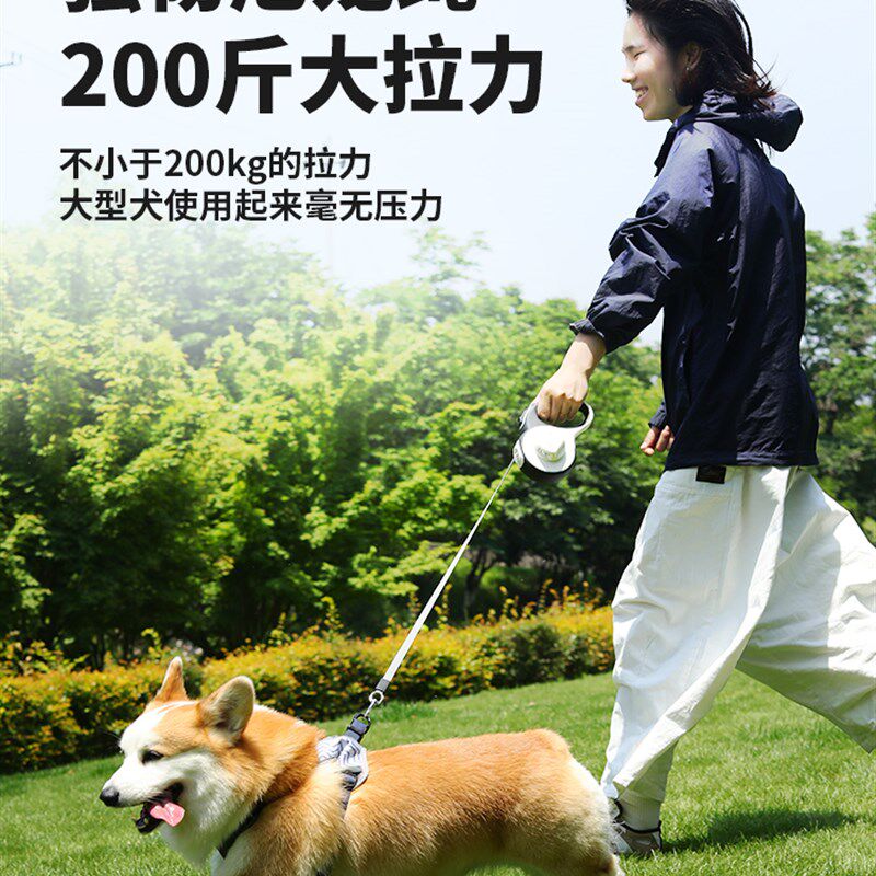 新品狗子牵引绳i溜狗狗中小型犬带灯自动伸缩遛狗绳狗链泰迪柯基