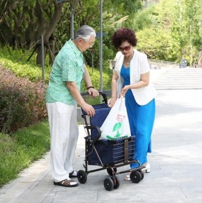 极速走路扶椅家用老人外出助行器买菜车拐杖购物助V步器手扶储物