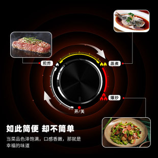 单灶 国爱2500W超一级能效家用安全电火灶1200℃猛火焰嵌入式