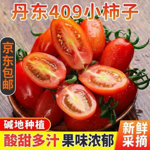 正宗409花生柿子长粒小番茄新鲜西红柿千禧圣女果水果孕妇水果