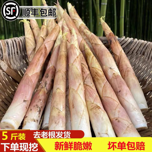 【顺丰包邮】新鲜现挖雷竹笋小竹笋自然野生带壳竹笋小雷笋春笋