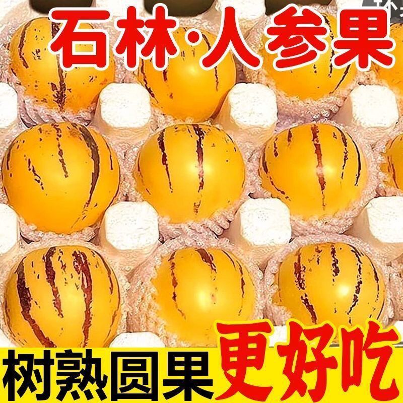 【自然熟】正宗云南石林人参果圆果黄果新鲜人参果水果批发一整箱