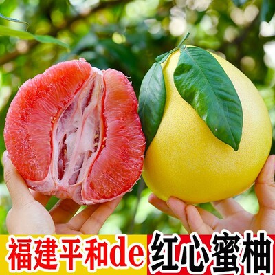 正宗福建平和红心蜜柚子红肉新鲜当季整箱三红琯溪应季水果包邮甜