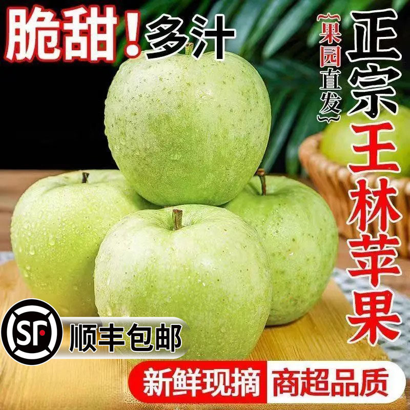 正宗王林苹果现摘新鲜青苹果青森雀斑美人苹果酸甜绿水果顺丰包邮,水产肉类/新鲜蔬果/熟食,苹果,淘宝优惠券,粉丝福利购,淘宝优惠卷