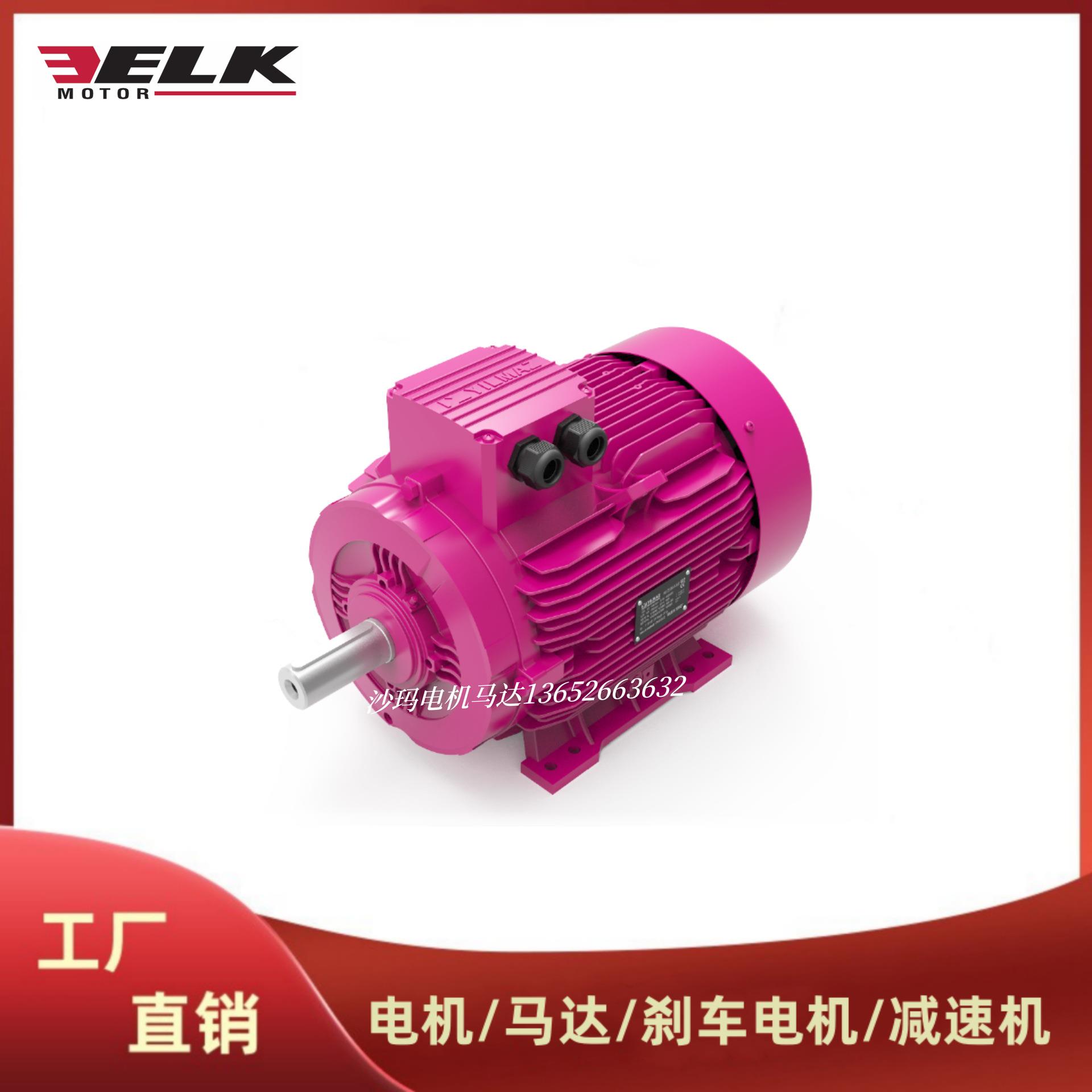 土耳其EL电机马达2EL063M2A3EL071M2B3EL080M4C90100L-315L