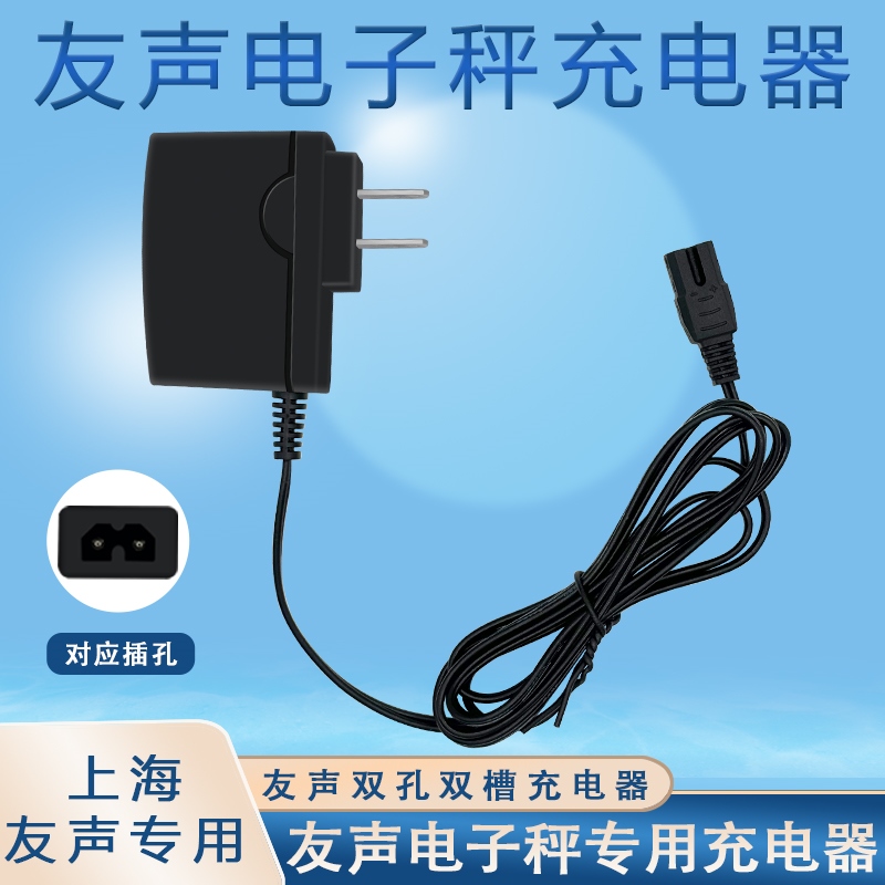 上海友声电子秤双孔充电器计价计数称双槽电源线台秤吊称充电线