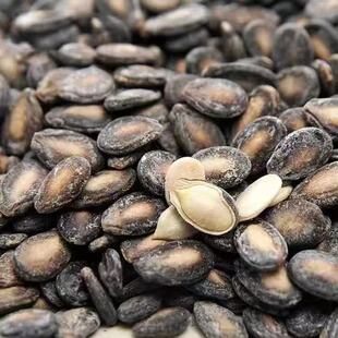 椒盐味西瓜子小又香咸味奶油黑瓜籽仁炒货休闲食品批发 乡香兔