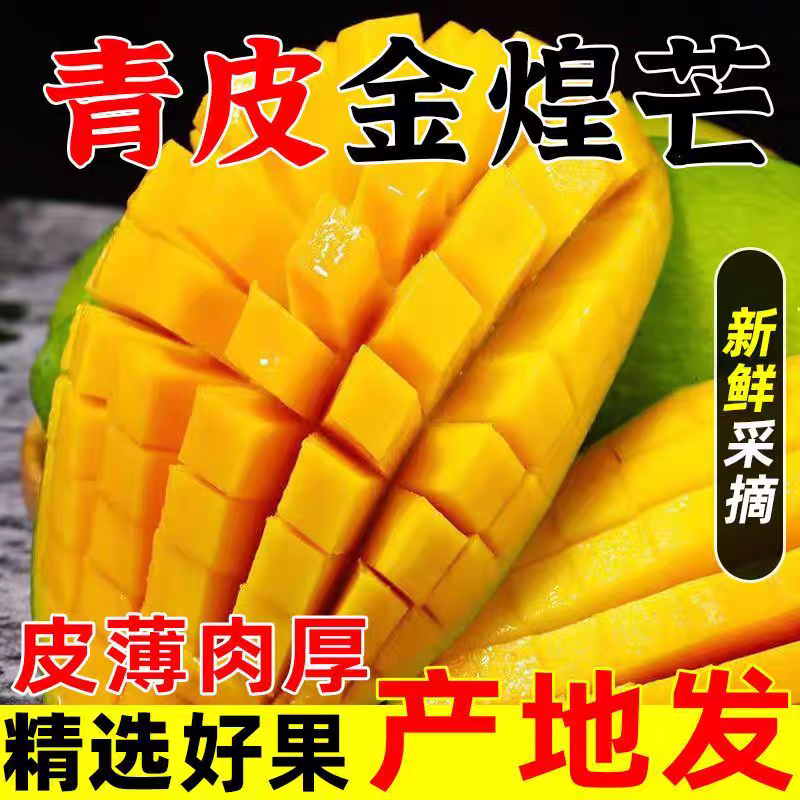 精品大青芒果大金煌新鲜现摘水果甜心芒果广西百色田东直发礼盒装