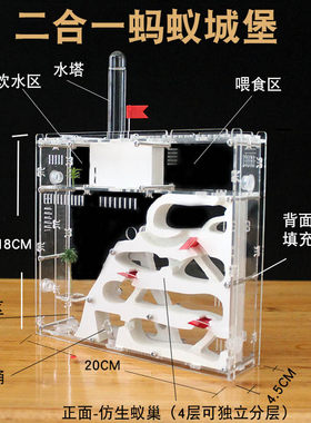 双面蚂蚁城堡 超大型别墅蚁巢室 生态宠物工坊家园王国对战送蚁后
