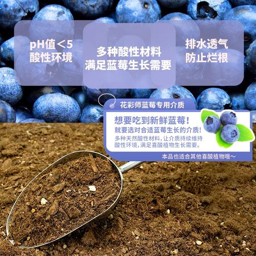 虹越花彩师蓝莓专用土肥料盆栽种植介质基质喜酸性植物花卉营养土