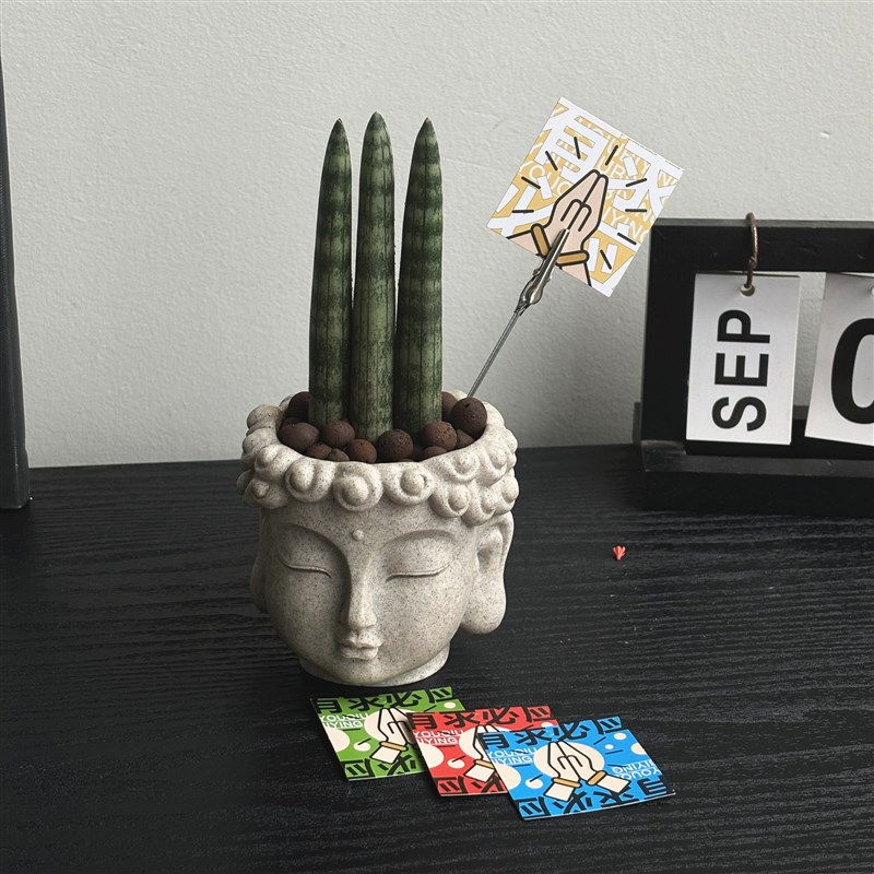 佛前香多肉植物棒叶虎皮兰趣味新中式无刺送礼好养桌面办公室盆栽