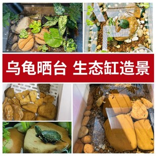 黄腊石天然晒台鱼缸观赏造景垫脚石龟苗发色乌龟晒背休息台原石头
