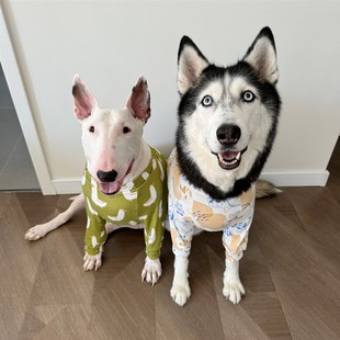 宠物居家护肘服透气宠物中大型犬护膝套大狗保护袖金毛牛头梗边牧