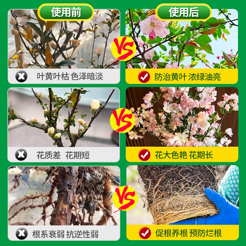 海棠花营养液专用肥四季海棠树专治干枯叶急救花肥阳台盆栽通用型