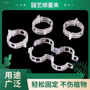 黄瓜西红柿豆角爬藤枝条固定器绿植蔬菜捆绑扎带藤蔓专用吊秧夹