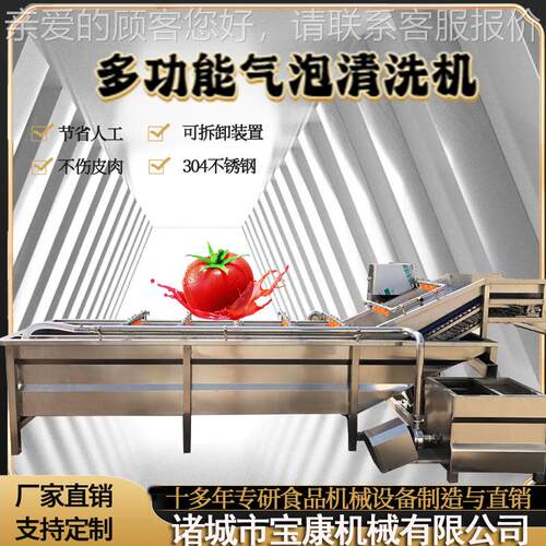 果蔬辣椒萝卜清洗机 瓜果蔬菜气泡清洗机 西红柿气泡清洗机