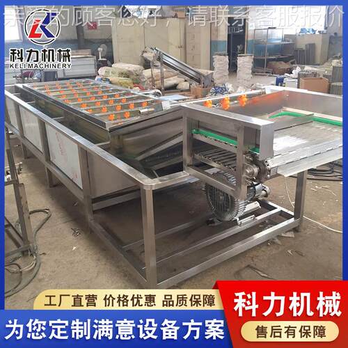 自动清洗蔬菜设备 大型果蔬漂烫线巴氏杀菌流水线 脱水蔬菜清洗线
