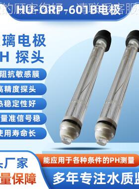 供应 HU-ORP-601B型玻璃外壳在线PH计探头 PH计电极传感器