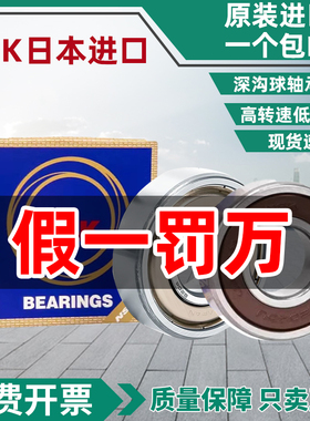日本进口NSK6000 6001 6002 6003 6004 6005 6006Z DU RS高速轴承