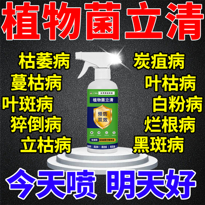发财树专用营养液黄枯叶病药杀菌剂多肉竹子月季桂花兰花茶花肥料
