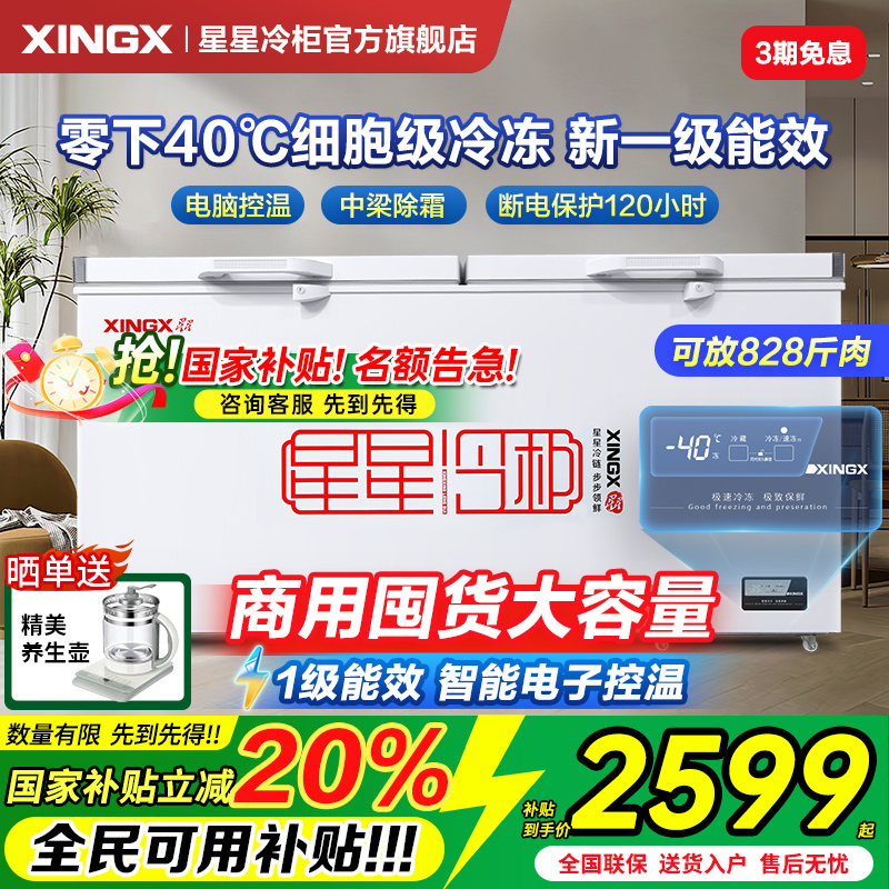 星星冰柜商用大容量冷柜518/718升L全冷藏冷冻柜减霜一级能效冷柜