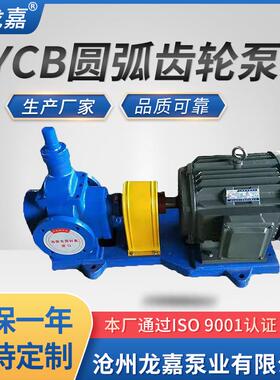 不锈圆弧齿轮泵YCB低噪音润滑油圆弧齿轮泵YCB圆弧齿轮泵