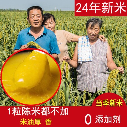 2024新头茬】龙山小米脂食用级黄小米新米特香糯黄月子胃新米布袋