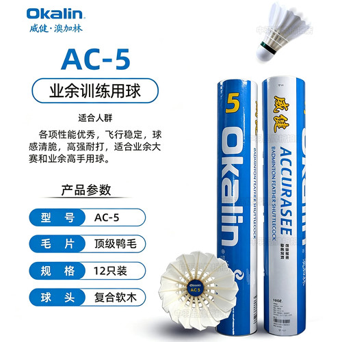 澳加林AC5羽毛球飞行稳定全圆