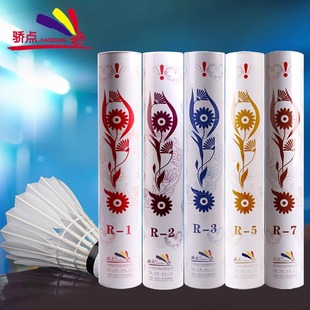 优个 骄点羽毛球骄点R2骄点R3焦点R3羽毛球焦点R2羽毛球稳定耐打