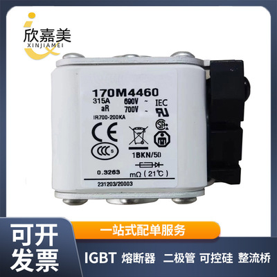 170M4460 170M4461 170M4462快速熔断器  电子元器件 量大价优