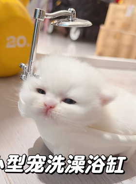 小红书同款幼猫猫床小型宠物鹦鹉守宫水盆泡澡盆拍照打卡娃用场景
