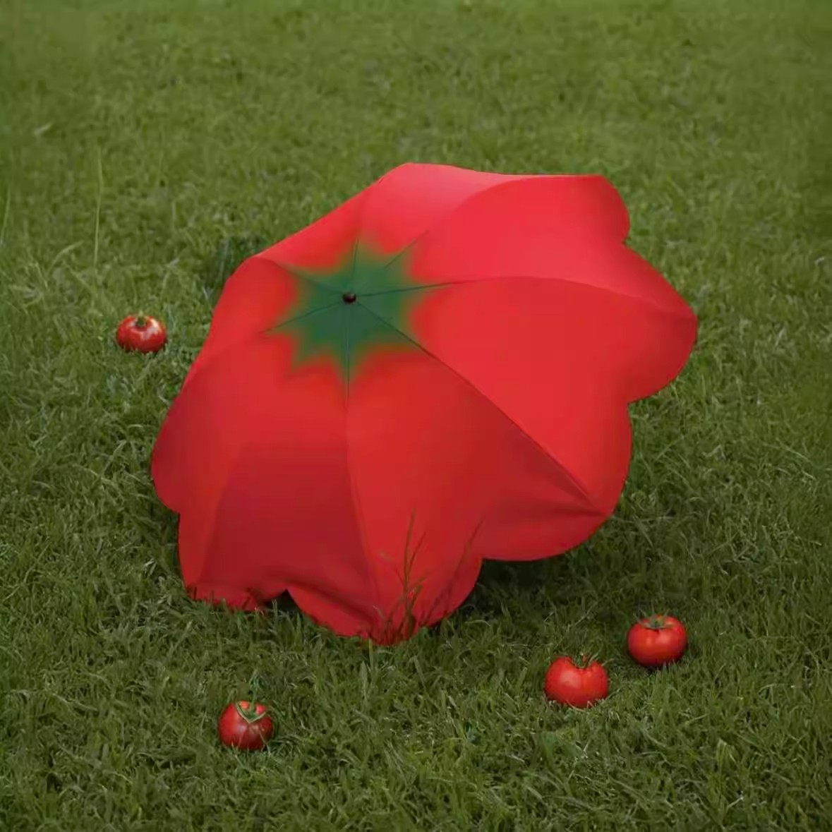 Tomato西红柿折叠雨伞晴雨两用