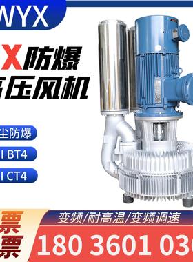 DIIBT4防爆风机FBZ-L94S-1515KW防爆漩涡气泵窑炉增压旋涡气泵