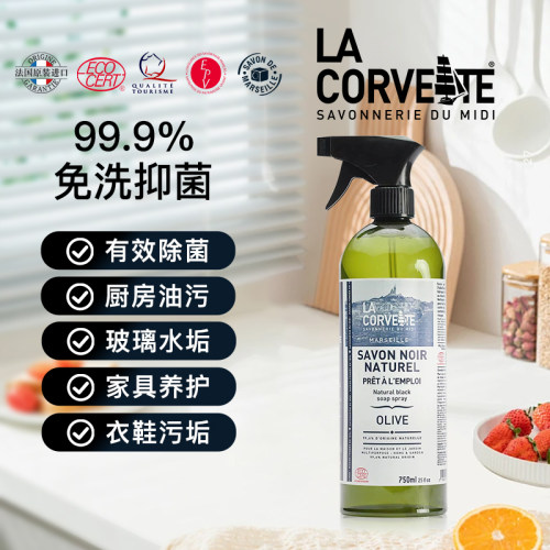 LACORVETTE黑皂液多功能清洁剂
