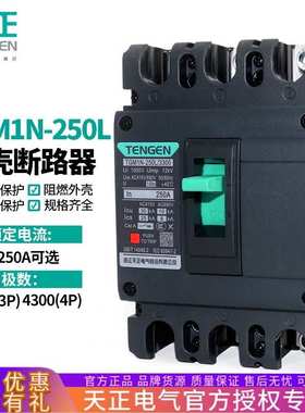 天正TGM1N-250L空开3300塑壳断路器3P三相3200带脱扣160A200a250A