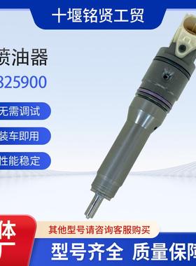 德尔福喷油器1825900 BEBJ1B00001适用于DAF MX13 XF卡车