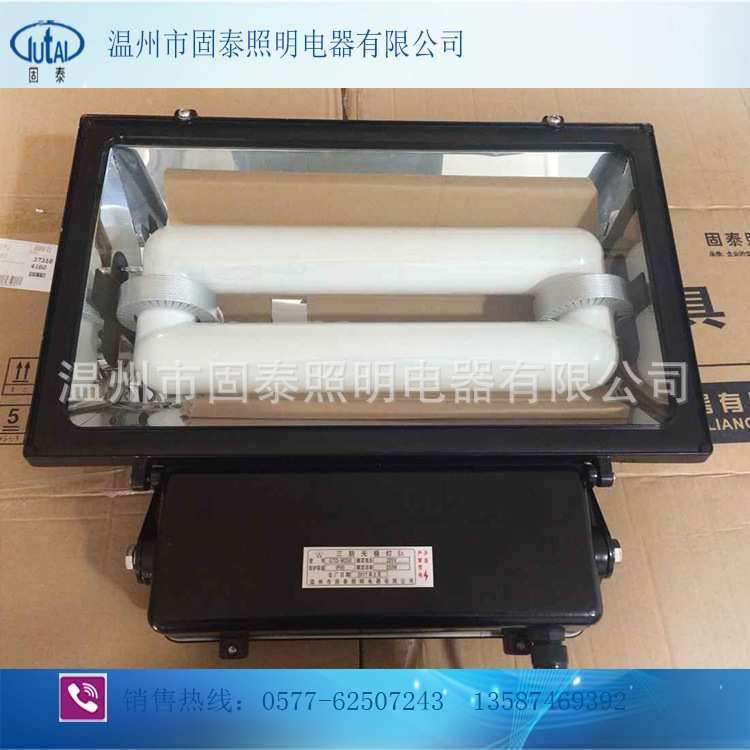 200W/250W方型无极投光灯 无极射灯 壁挂式 质保五年