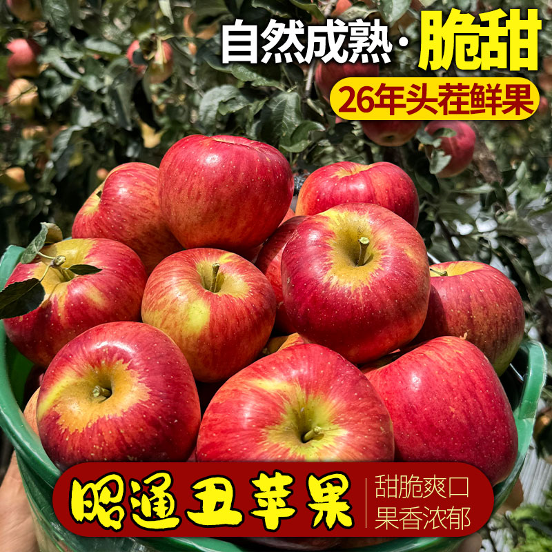 云南昭通丑苹果9斤苹果当季正宗脆甜苹果新鲜水果整箱中秋礼盒装