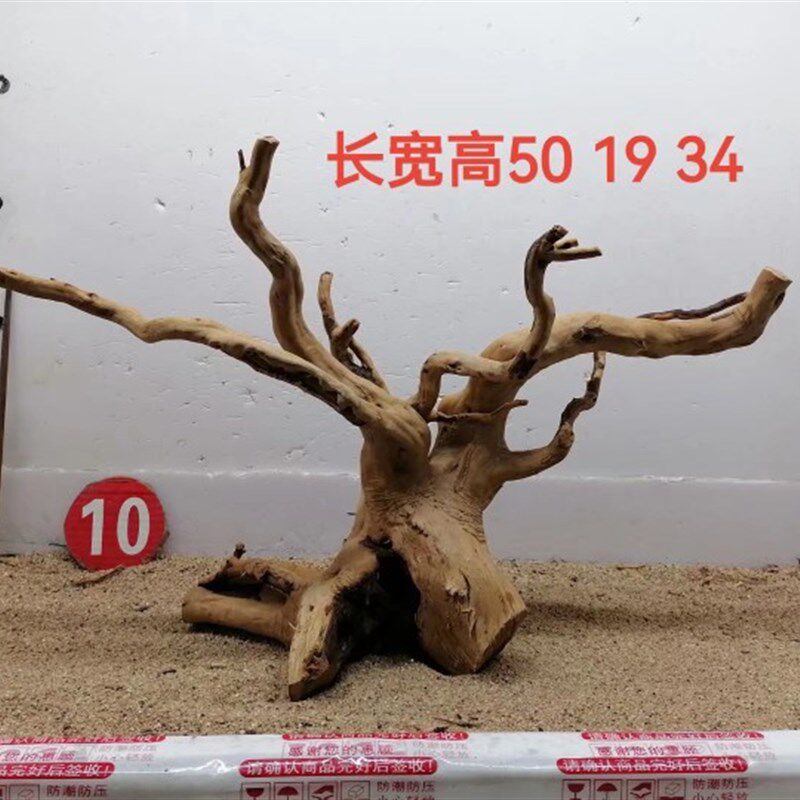 杜鹃根草缸造景素材一木成景水陆缸雨林缸沉木树型莫斯树骨架水草