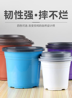 双色盆加厚蓝色白色扦插育苗花盆塑料营养钵小大厂家庭草莓多肉
