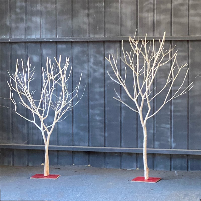 原木树枝干树枝 树枝造景 室内造型树枝枯树枝装饰 去皮树枝 橱窗