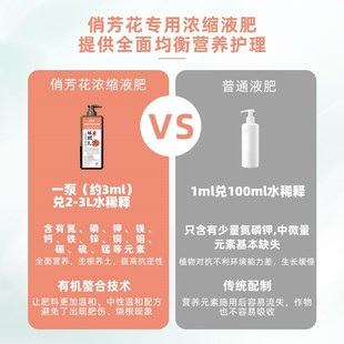 百合花 郁金香 水仙花俏芳花液肥 朱顶红 球根花卉专用肥