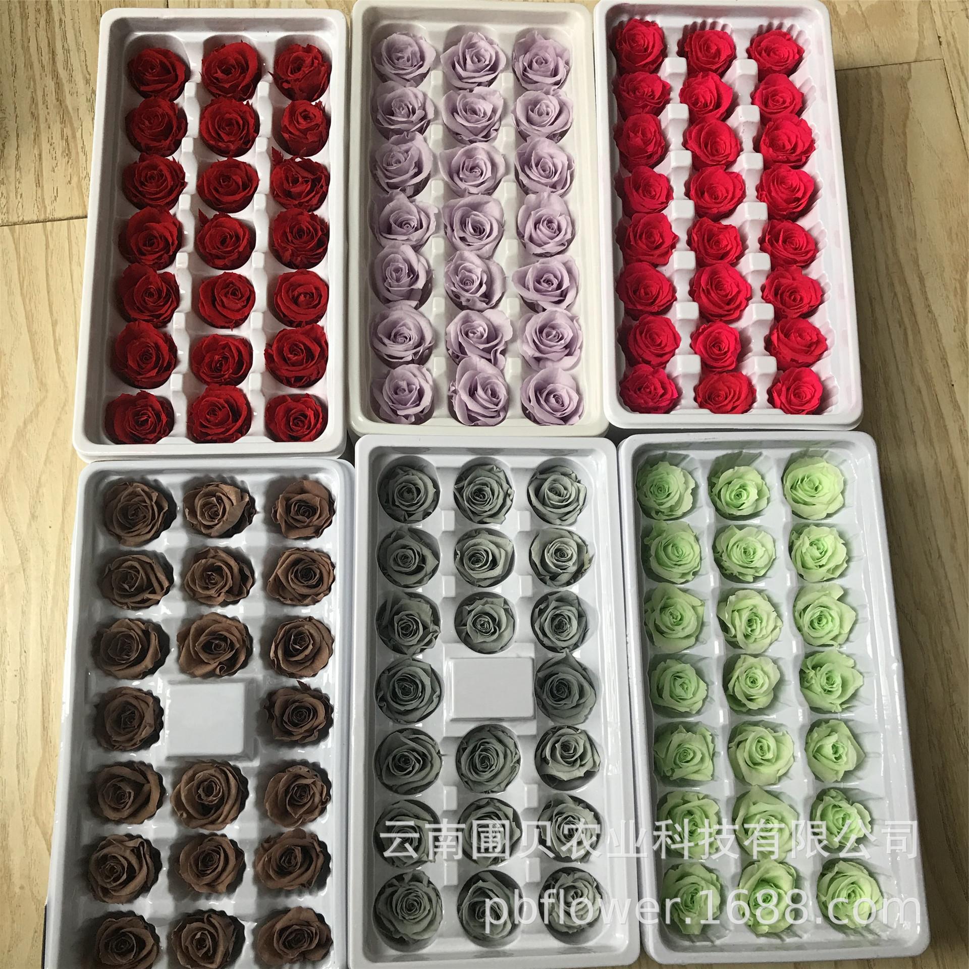 花者云南永生花玫瑰情人节DIY礼盒B级弗洛伊德玫瑰花头多色